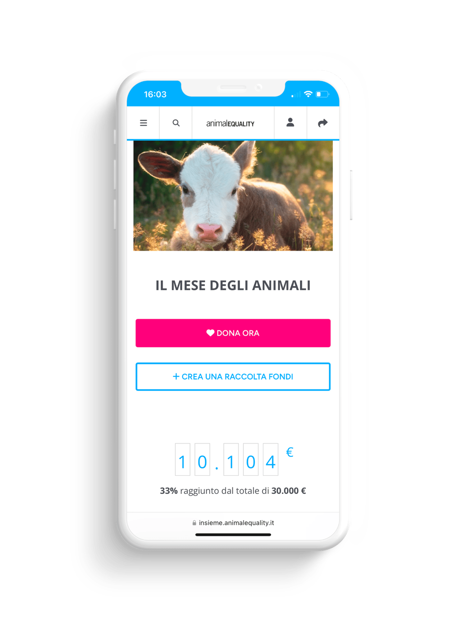 crowdfunding animal equality italia crowdfunding animal equality italia